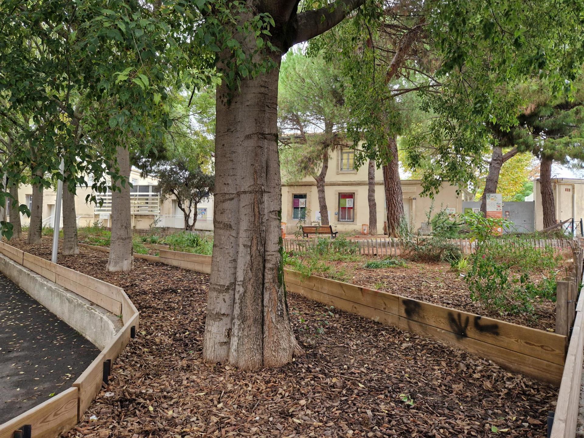 Immeuble locatif Montpellier