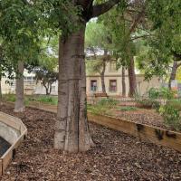 Immeuble locatif Montpellier